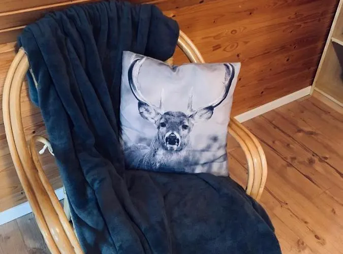 Wattenglueck 3 公寓 *